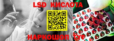 крисы Кунгур