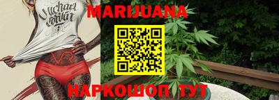 крисы Кунгур